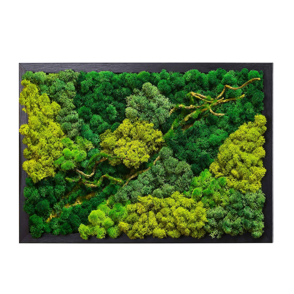 LVZHIHUAN Moss Wall Decor Real Preserved Moss No Maintenance Required Eco Natural Green Wall Art Moss Frame Living Plants Vertical Garden