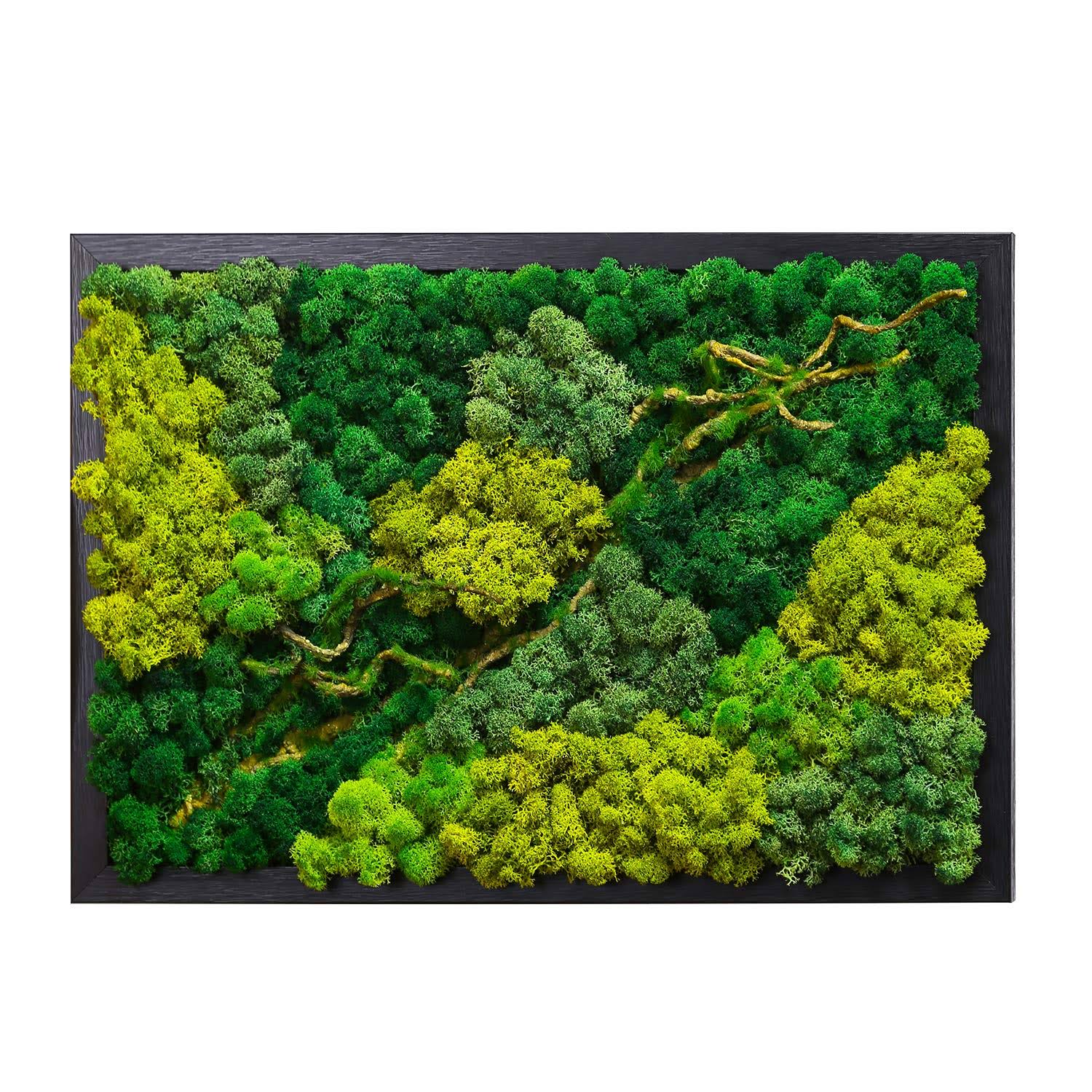 LVZHIHUAN Moss Wall Decor Real Preserved Moss No Maintenance Required Eco Natural Green Wall Art Moss Frame - Product image 1