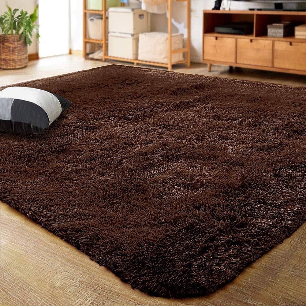 Lochas Luxury Fluffy Rugs Ultra Soft Shag Rug for Bedroom Living Room Kids Room Children6'x9'Coffee(4' x - Product image 1